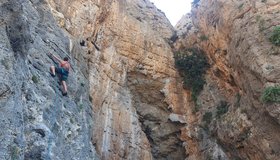 Birgit Auer in Red Rooster 6a