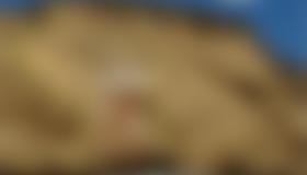 Übesicht Klettergarten Spielmäuer