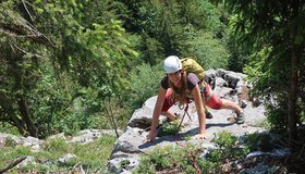 Oben geht es in den Wald (Jakobsweg am Plombergstein).