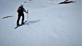 Wabenspitze von Zederhaus