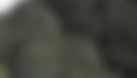 Übersicht Zahringkogel