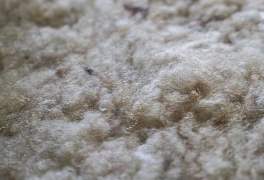 Mammut Loopinsulation