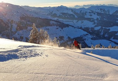 Am Rücken fast nicht zu spüren - deshalb ist der Ferrino Light Safe 20 auch bei Freeridern sehr beliebt.