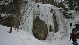 Die Übungs-Fälle im Seetal