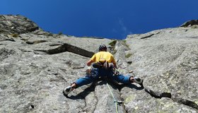 Etamol Abich Hochflachkofel