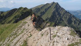 Leichtes Gelände am Ende der Tour