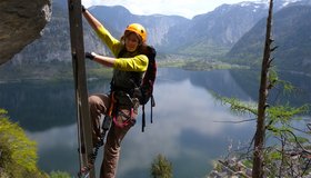 Die letzte Leiter im Steig