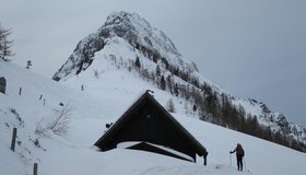 Aufstieg von der Arlingalm zum Arlingsattel