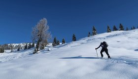 Vor der Alten-Steinhüttalm.