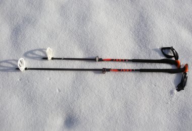 Der Leki Aergonlite II Carbon