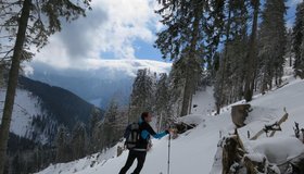 Aufstieg im Gschwandgraben