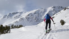 Die Latschenzone oberhalb der Lagfeldenalm.