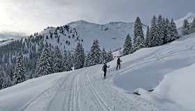 Auf der Langlaufloipe unterhalb der Maschentalalm.