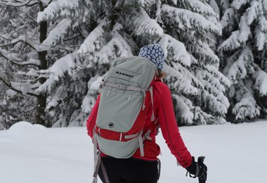 Mit den Bändern kann man die Ski befestigen.