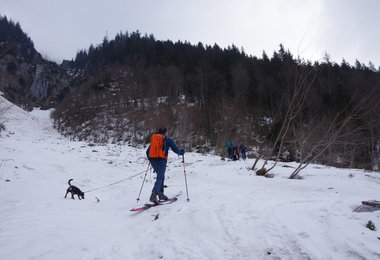 Mit Flexi Leine, montiert am Hüftgurt des Rucksacks