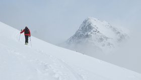 Im oberen Teil - hinten der Treffauer