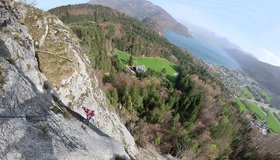 Tolles Ambiente mit dem Wolfgangsee - Juniperus am Plombergstein