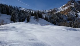 Die Wiese nach dem Bach, bei der Hütte beginnt links ein Ziehweg.