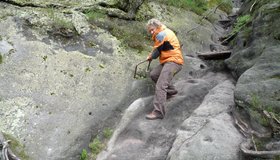 Auf der Rotkehlchenstiege.