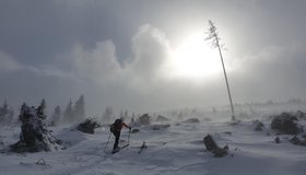 Am anfangs flachen Kamm bei Sturm