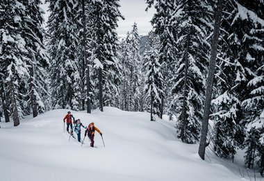 Hochfüge Wald (c) Max Draeger