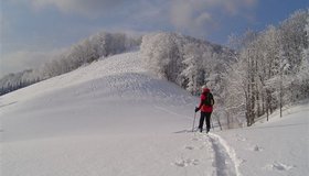 Aufstieg zur Kichenberghütte