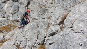 Endler-Kopitsch Führe - Pfaffenstein