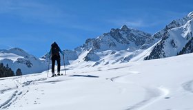 Hinten die Zacken der Hippoldspitze.