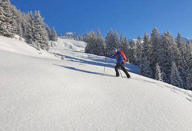 Der Ferrino Light Safe 20 liegt perfekt am Rücken an, ähnlich wie bei den kleinen Skitouren-Rennrucksäcken.