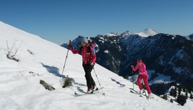 Kurz vor dem Gipfel - hinten der Geigelstein.