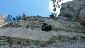 Diesseits von Eden - Blechmauer